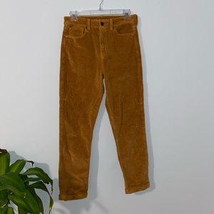 American Eagle Outfitters Tan/Orange Corduroy Pants